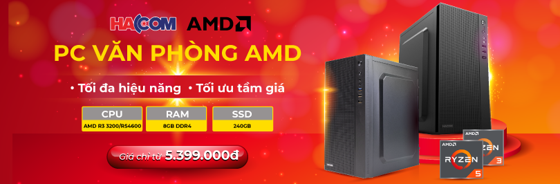 Máy tính văn phòng AMD T11