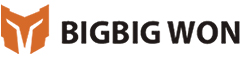 BigBig Won