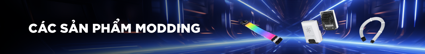 Các sản phẩm Modding