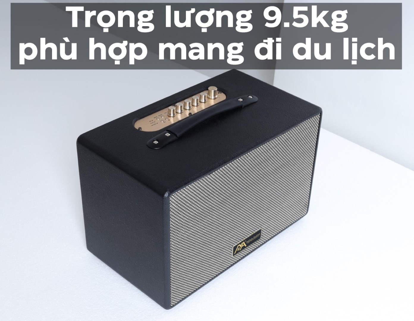 Loa karaoke di động Nova Audio NV-300 Platinum - Màu đen