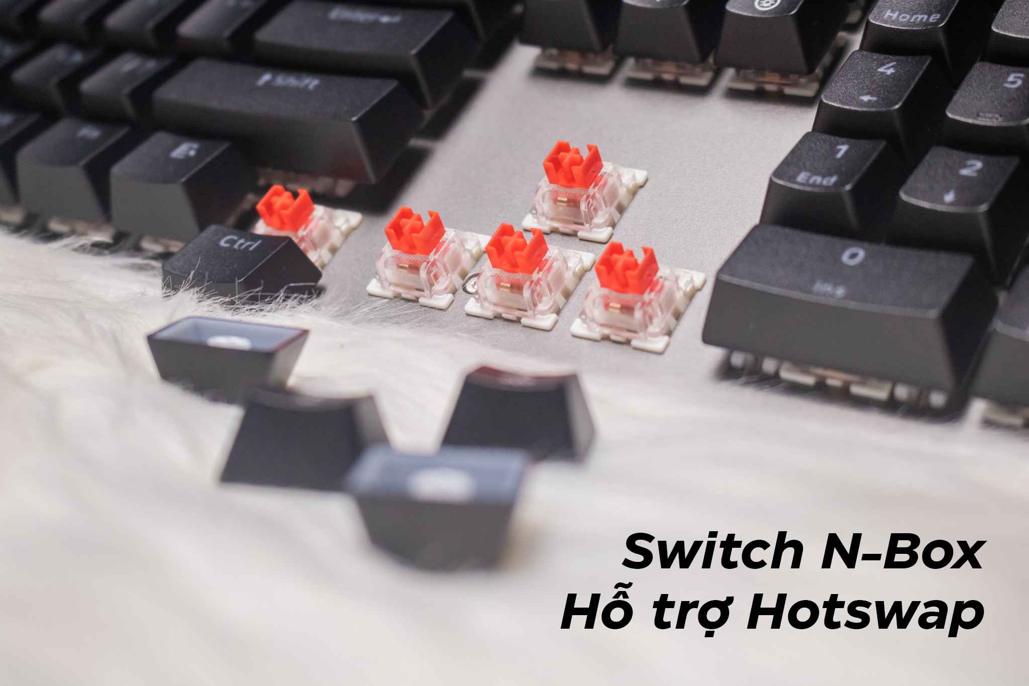 Bàn phím cơ Newmen GM369 Red switch (USB/Hot swap/Led Rainbow) 3