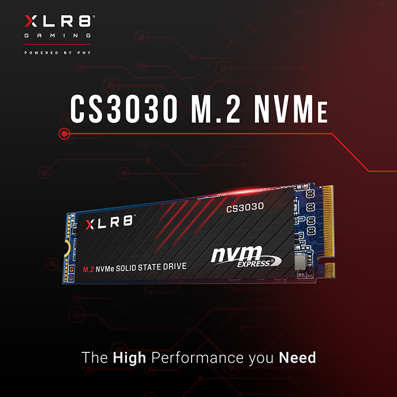 Ổ cứng SSD CS3030 1TB M.2 2208 PCIe NVMe Gen 3x4