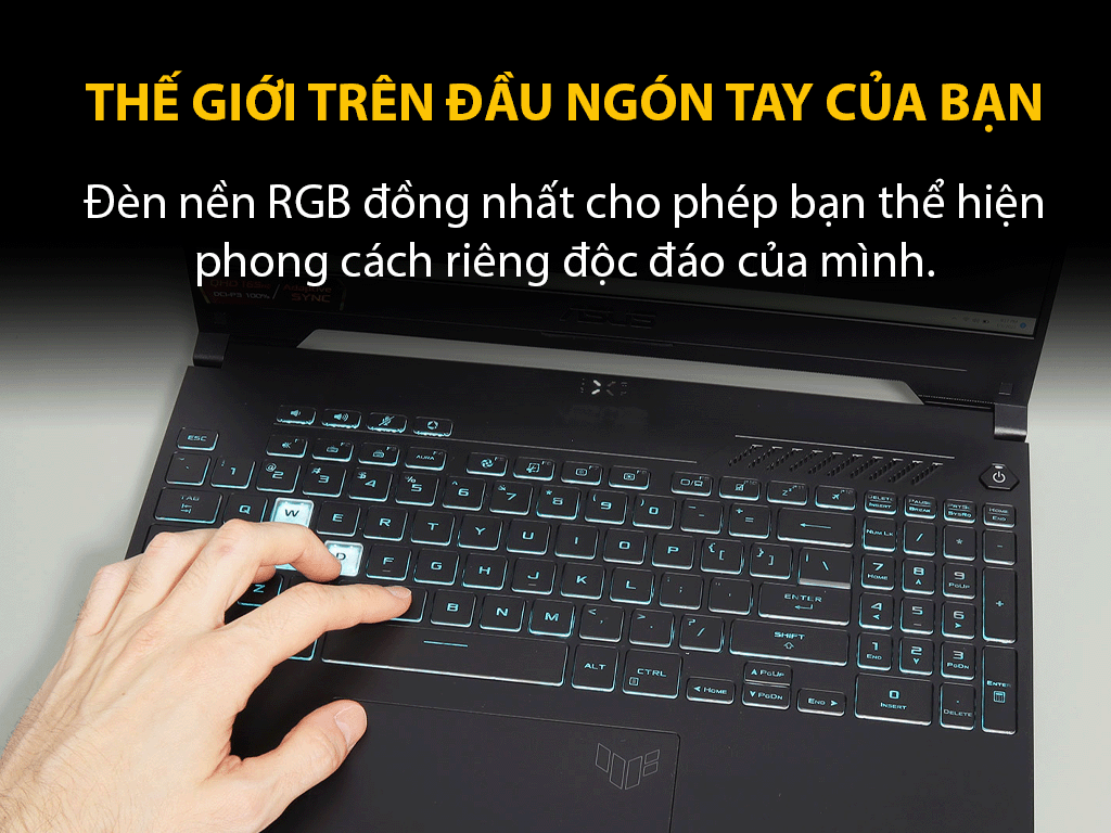Laptop Asus Gaming TUF FX517ZC