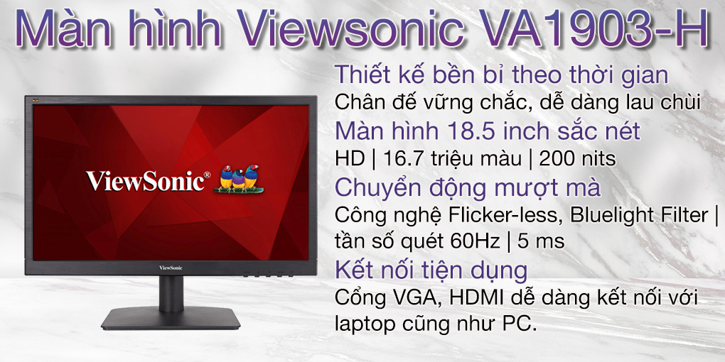 Màn hình Viewsonic VA1903-H 1