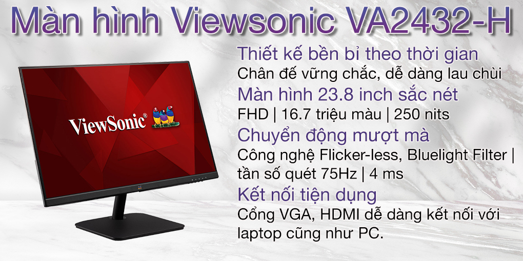 Màn hình Viewsonic VA2432-H-W 1