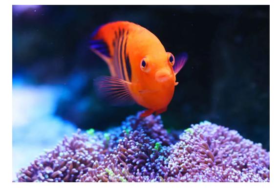 Thiết bị lưu trữ mạng TerraMaster F2-212 (Chưa có ổ cứng) 5