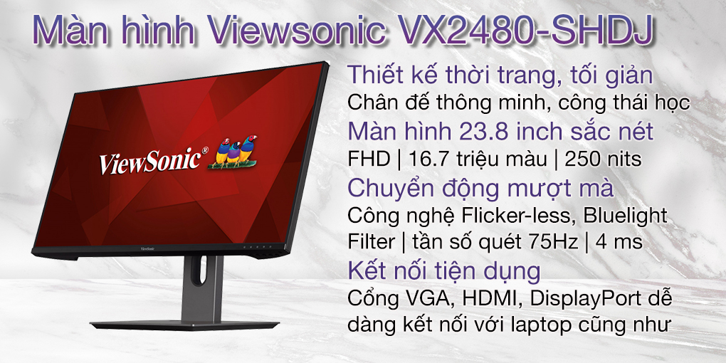 Màn hình Viewsonic VX2480-SHDJ 1