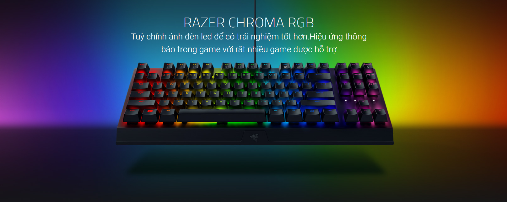 Bàn phím cơ Razer Blackwidows V3 Tenkeyless (USB/RGB/Green switch/Đen) (RZ03-03490100-R3M1) 3