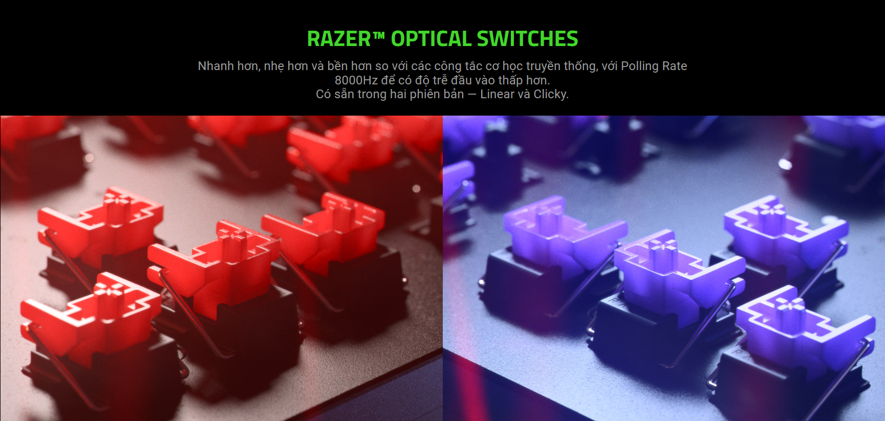 Bàn phím Razer Huntsman V2 Optical Clicky Purple sw (RZ03-03930300-R3M1) 2