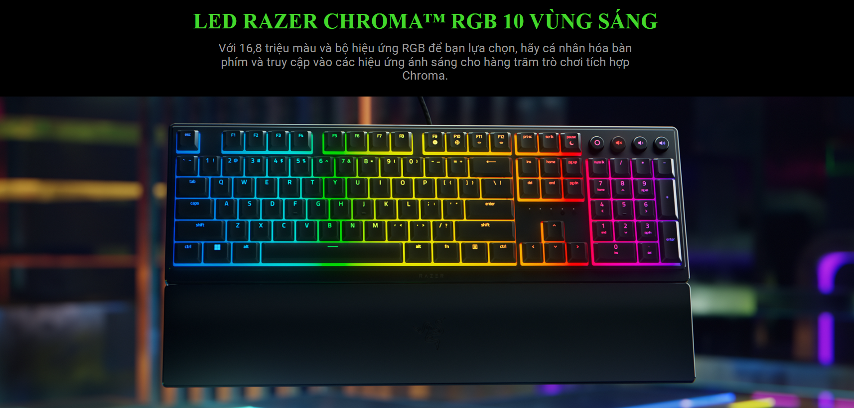 Bàn phím game Razer Ornata V3-Low Profile (USB/RGB) (RZ03-04460100-R3M1) 7