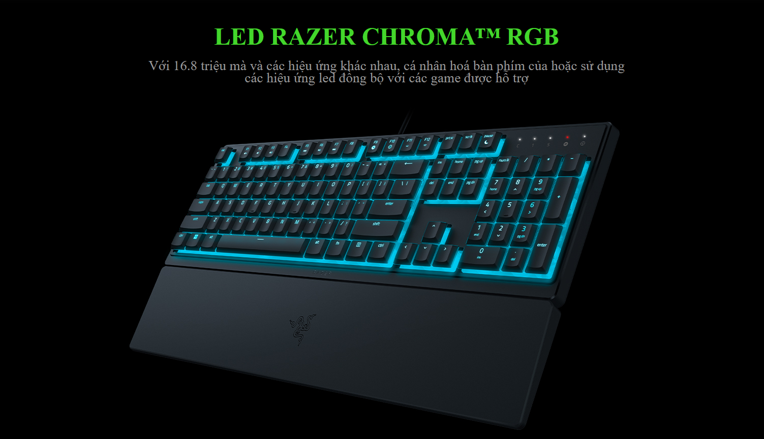 Bàn phím game Razer Ornata V3X-Low Profile (USB/RGB) (RZ03-04470100-R3M1) 7