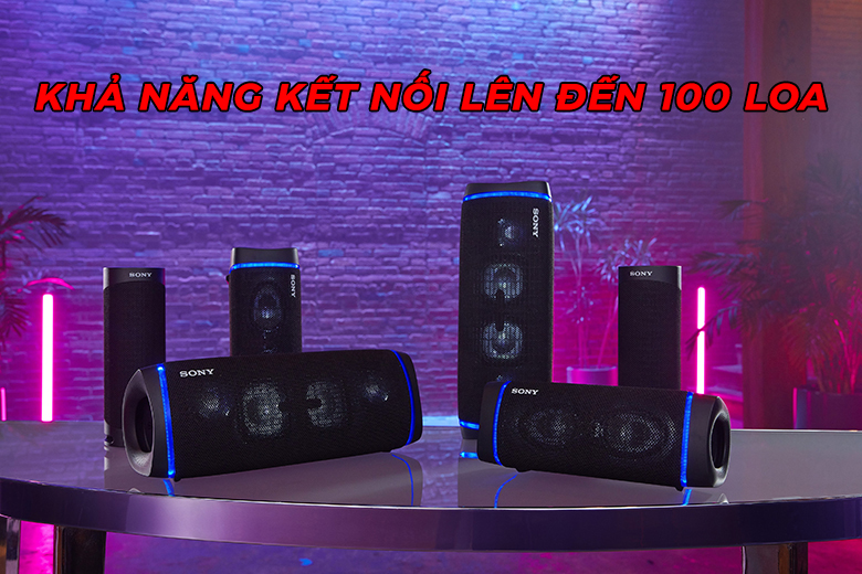 Loa Bluetooth SONY SRS-XB23/BC E Đen