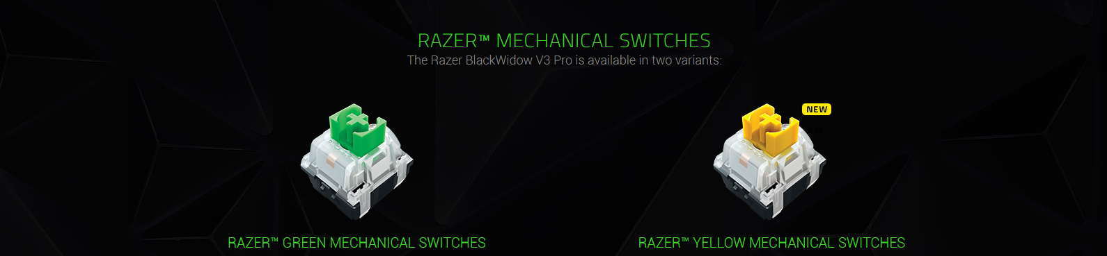 Bàn phím cơ Razer BlackWidow V3 HALO Infinite Green sw (RZ03-03542600-R3M1) (USB) 2