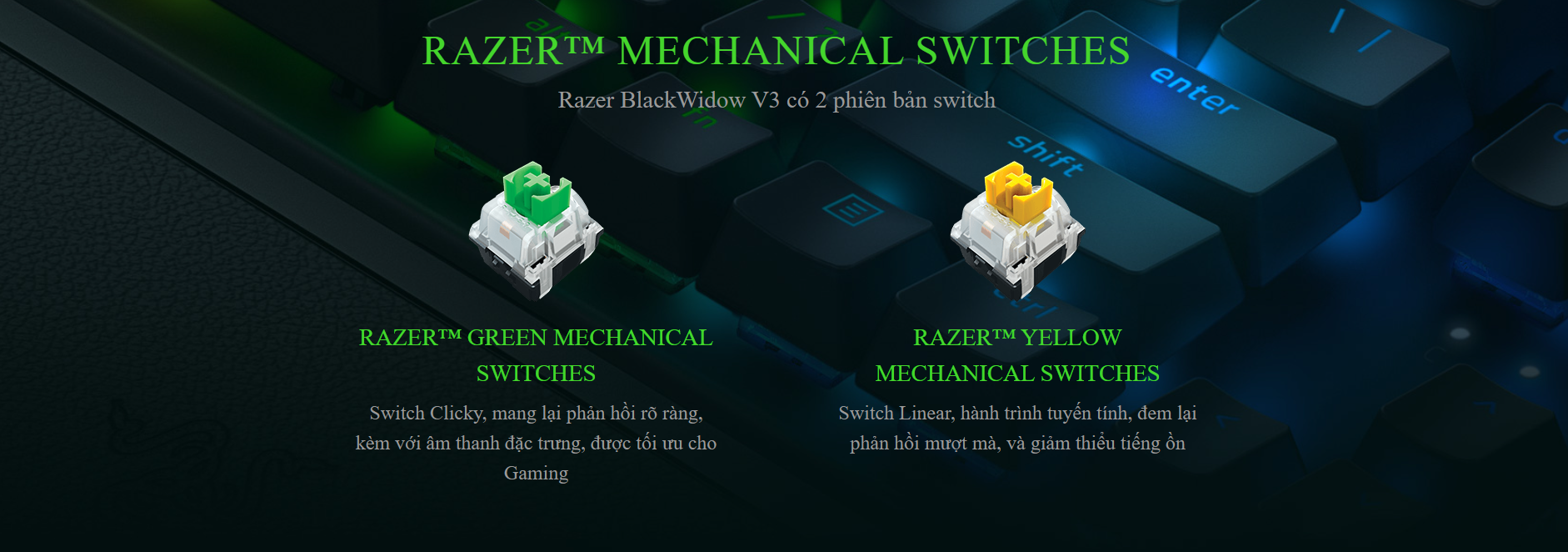 Bàn phím Razer BlackWidow V3 (USB/Green switch) (RZ03-03540100-R3M1) 2