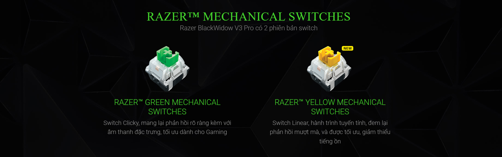 Bàn phím cơ gaming không dây Razer BlackWidow V3 Pro - Yellow Switch 5