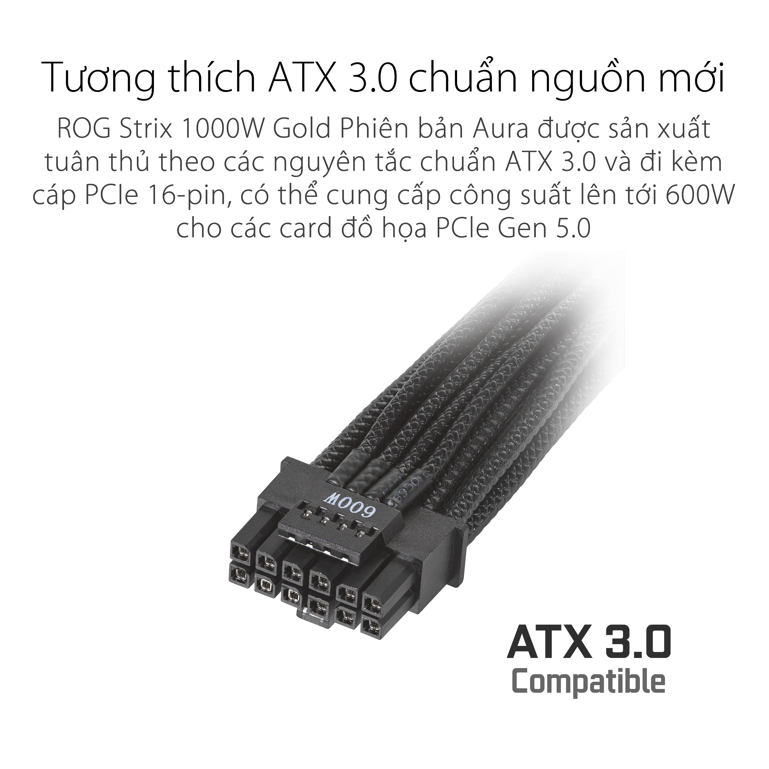 Nguồn Asus ROG STRIX 1000W Gold Aura Edition (ATX 3.0/PCIe Gen 5.0 /Full Modular/Màu Đen)
