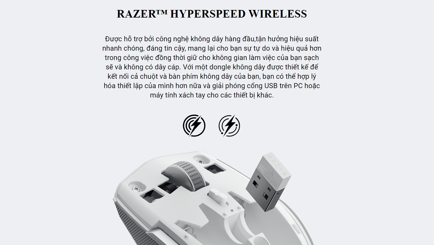 Chuột không dây Razer Pro Click Mini Wireless Productivity (RZ01-03990100-R3A1) 7