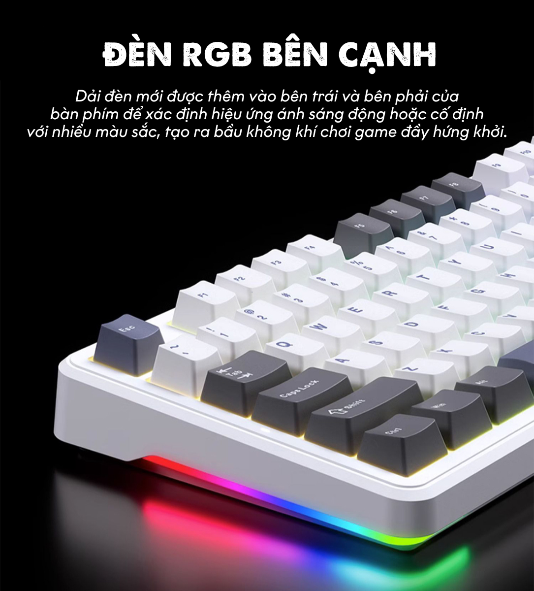 Bàn phím cơ có dây AULA F87 Đen Trắng Xanh dương (USB, Blue switch, led RGB) 13