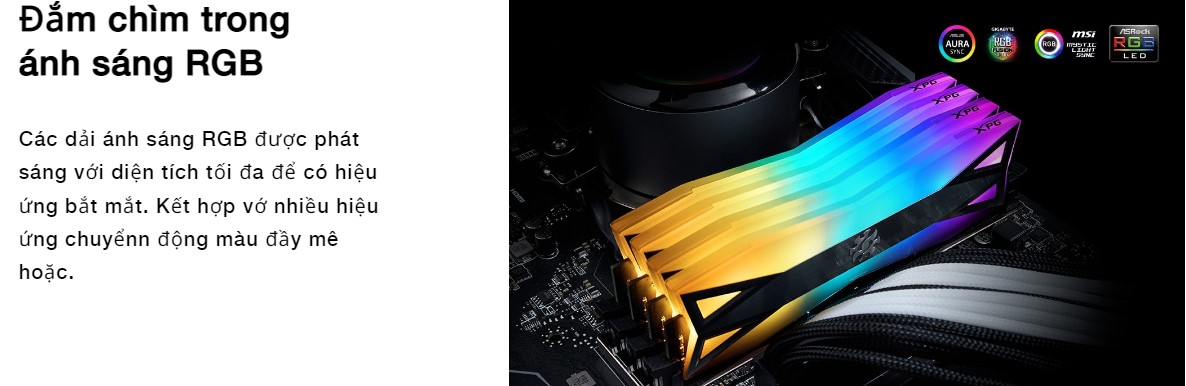 Ram Desktop Adata XPG Spectrix D60G RGB