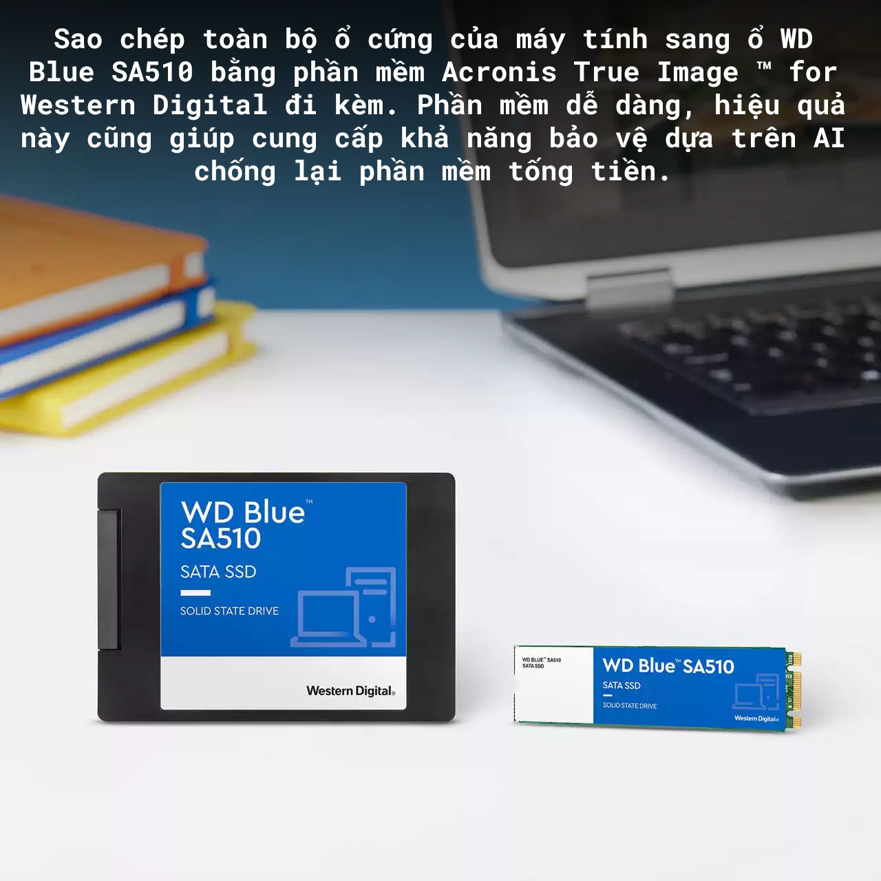 Ổ cứng SSD WD SA510 Blue