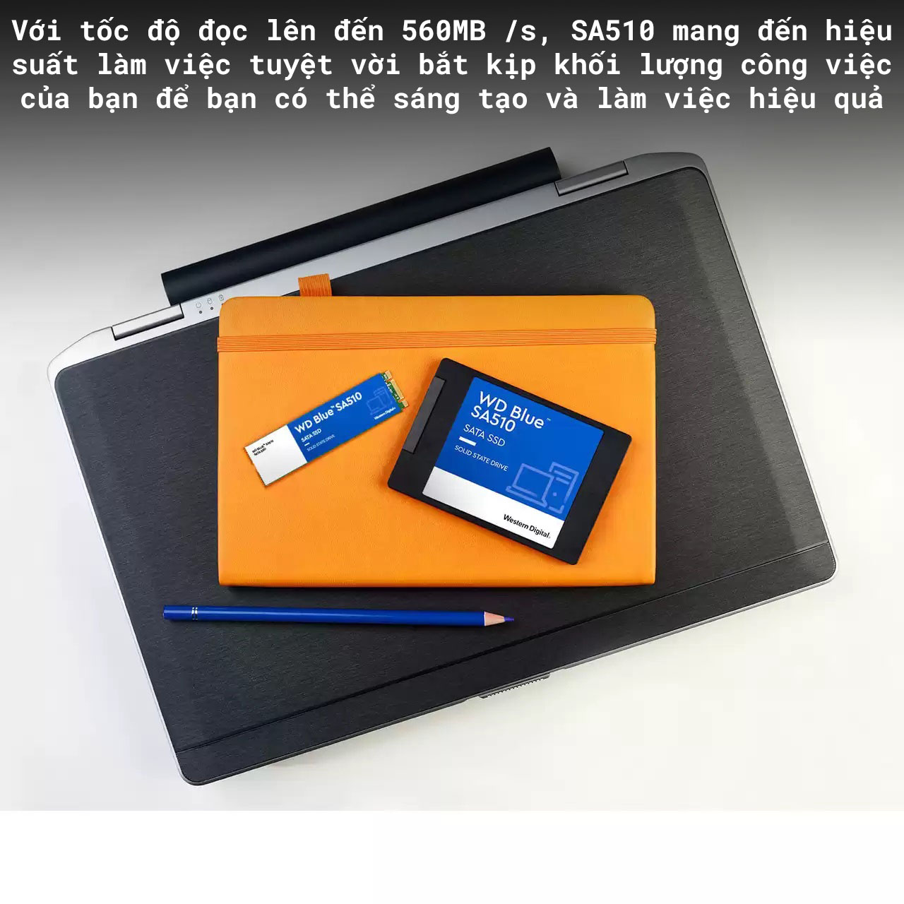 Ổ cứng SSD WD SA510 Blue