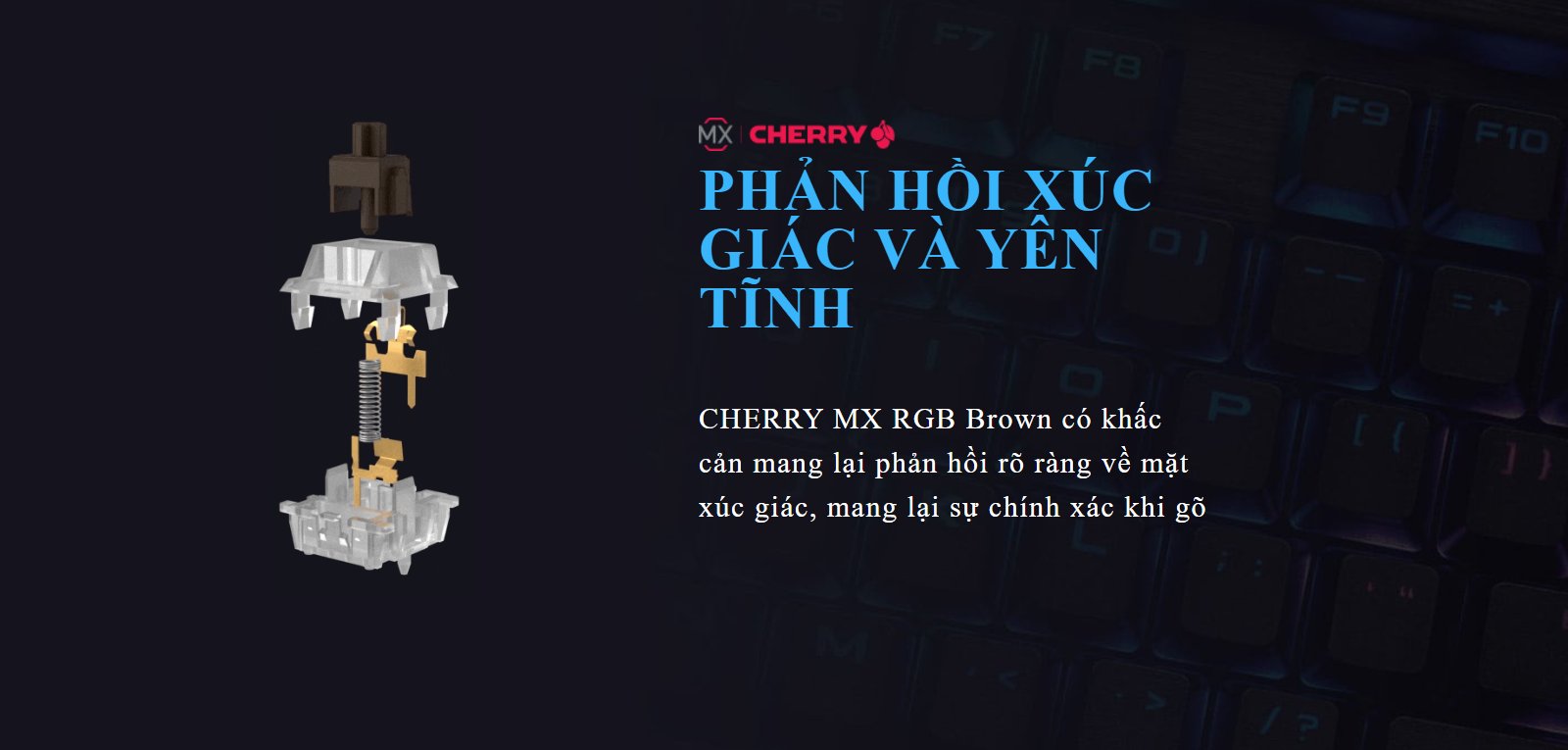 Bàn phím cơ Corsair K95 Platinum XT RGB Mechanical Gaming Cherry MX Brown Switch (CH-9127412-NA) 5