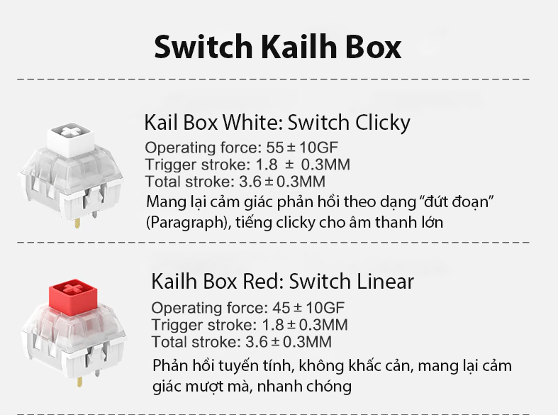 Bàn phím cơ không dây FL-Esports CMK87 SAM Polar Night Black 3 Mode White sw (Kailh Box) (USBC/Bluetooth/RGB/Hotswap) 4