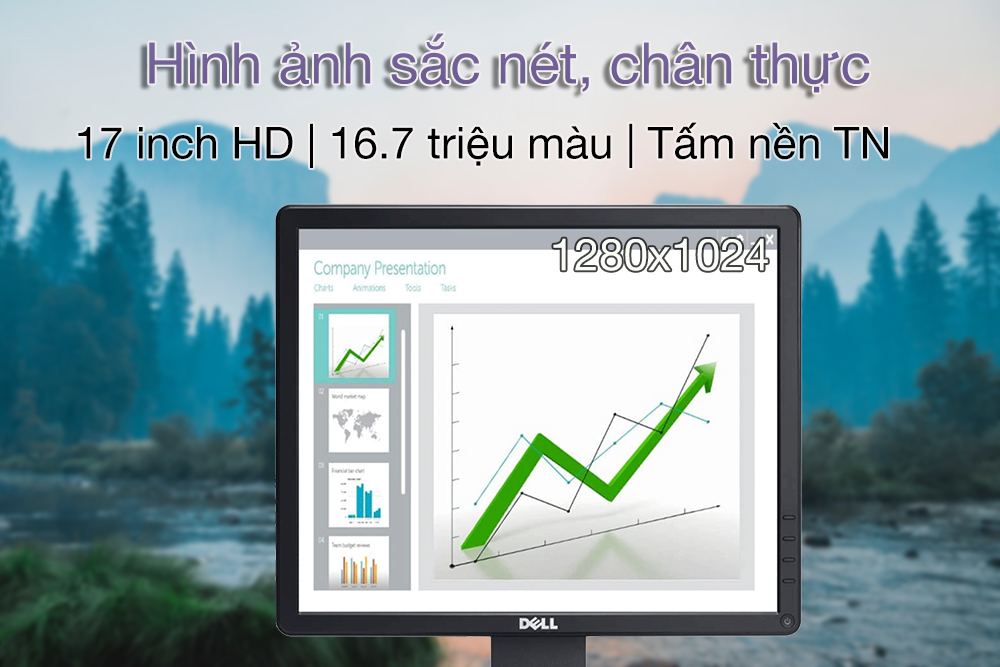 Màn hình Dell 17 inch E1715S Vuông LCD 3