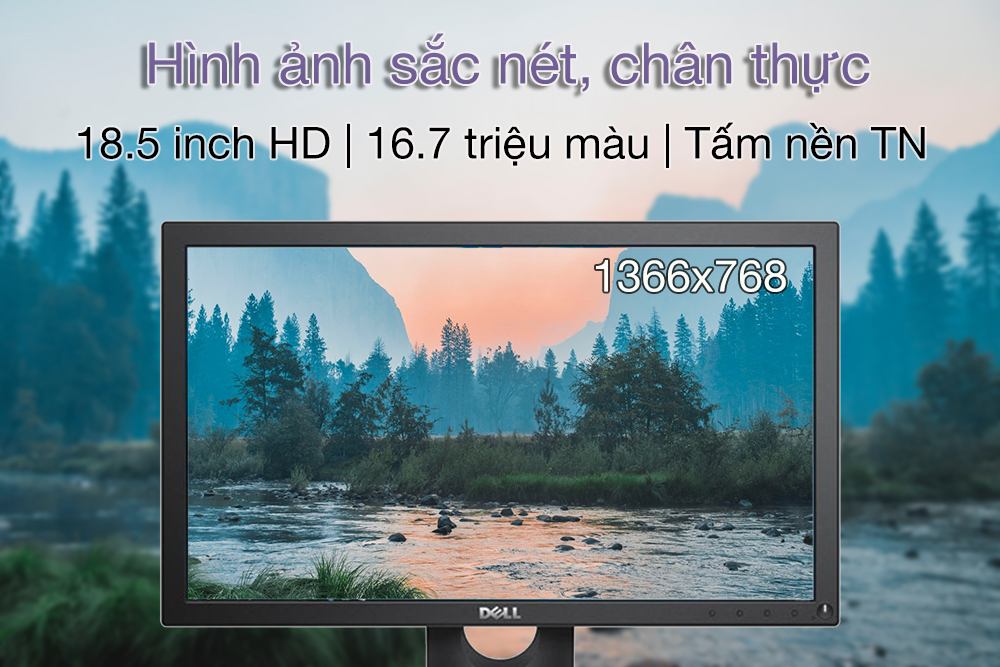 Màn hình Dell E1916HV 3