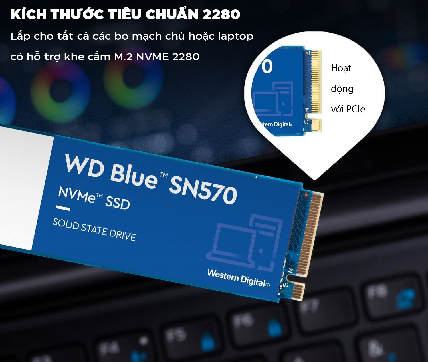 Ổ cứng SSD WD SN570 Blue