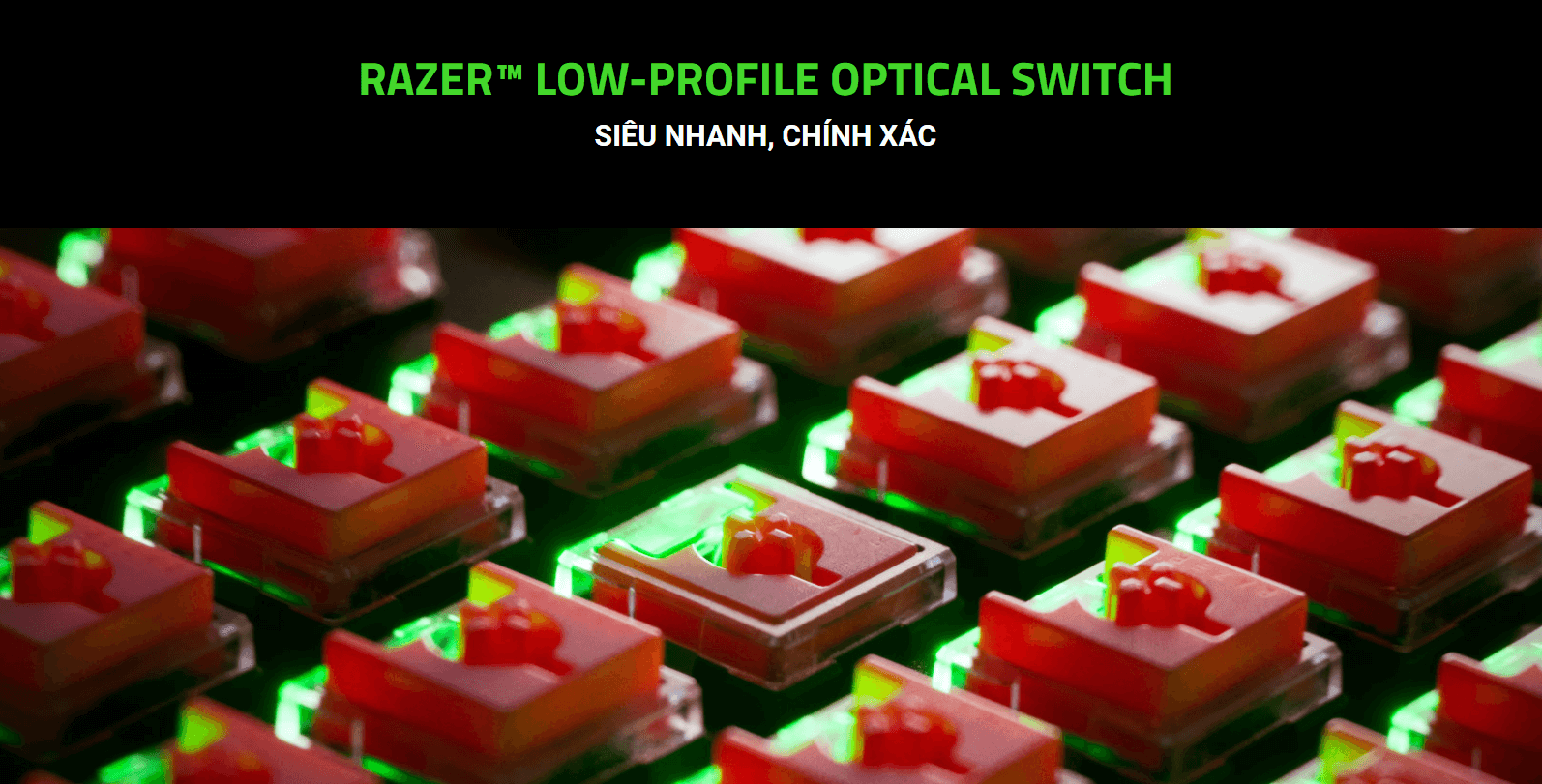 Bàn phím game Razer DeathStalker V2 Low Profile Optical (RGB/USB/Linear Red sw) (RZ03-04500100-R3M1) 2