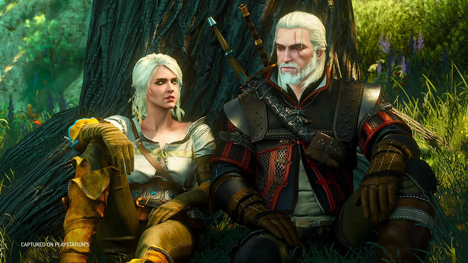 The Witcher 3 Wild Hunt Complete Edition 3