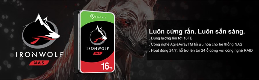 Ổ cứng HDD Seagate IronWolf 