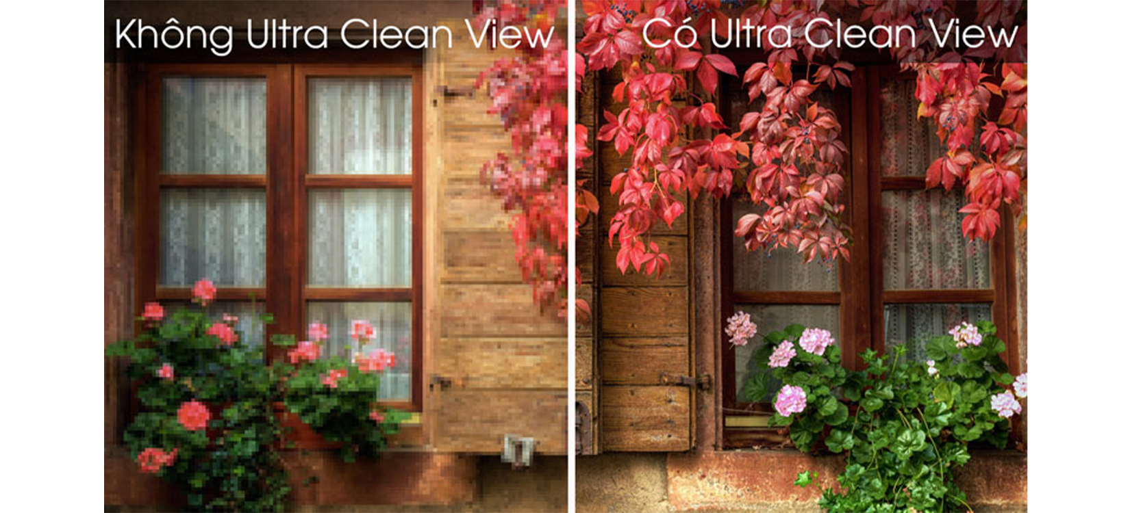 Công nghệ Ultra Clean view Smart Tivi Samsung 32 inch 32T4300