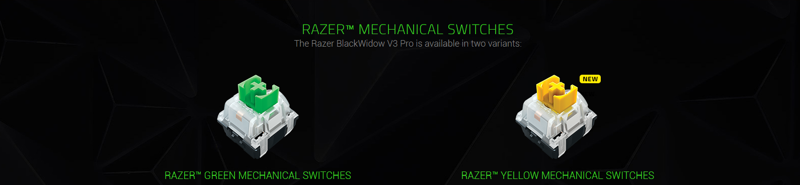 Bàn phím Razer BlackWidow V3 (Yellow switch) (RZ03-03541900-R3M1) sử dụng switch độc quyền của Razer
