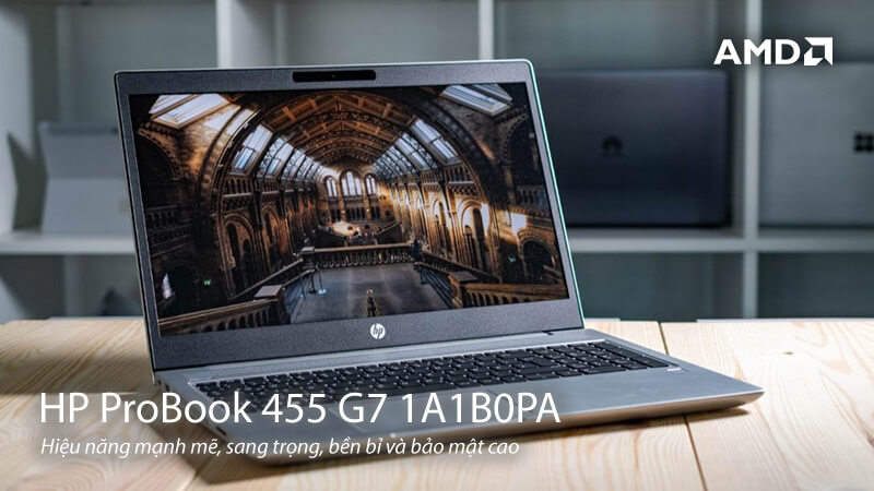 HP ProBook 455 G7 1A1B0PA: Laptop với hiệu năng mạnh mẽ, sang trọng, bền bỉ và bảo mật cao