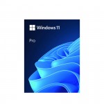 Hệ điều hành Windows 11 Pro FPP 64-bit Eng Intl USB (HAV-00163)