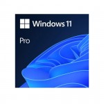 Windows 11 Pro  64-bit All Lng PK Lic Online DwnLd NR (FQC-10572)