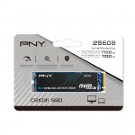 Ổ cứng SSD PNY CS1031 256GB M.2 2280 PCIe NVMe Gen 3x4 (Đọc 1700MB/s - Ghi 1100MB/s) - (M280CS1031-256-CL)