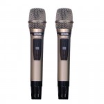 Loa Karaoke Xách Tay Mini Acnos HN450 150w (2 Bass 16.5cm, 150W, Pin 4-6h, Kèm 2 Micro)