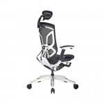 Ghế Công Thái Học GTChair Dvary Butterfly