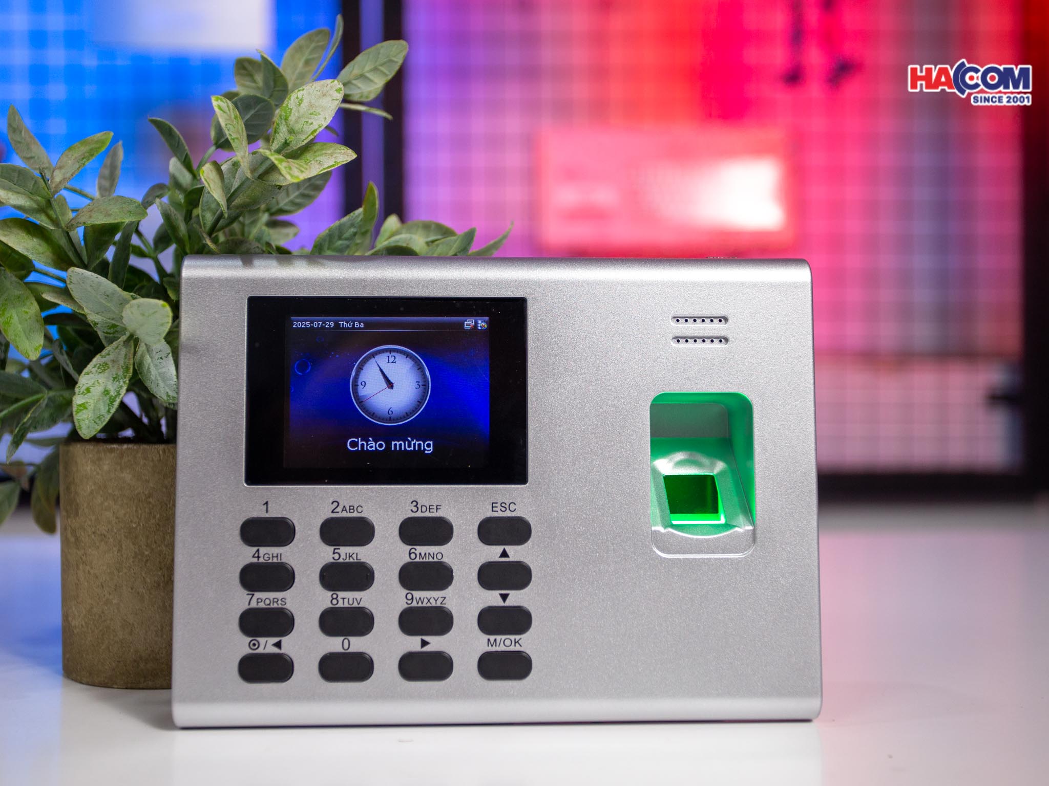 48016_img_9955.jpg 1