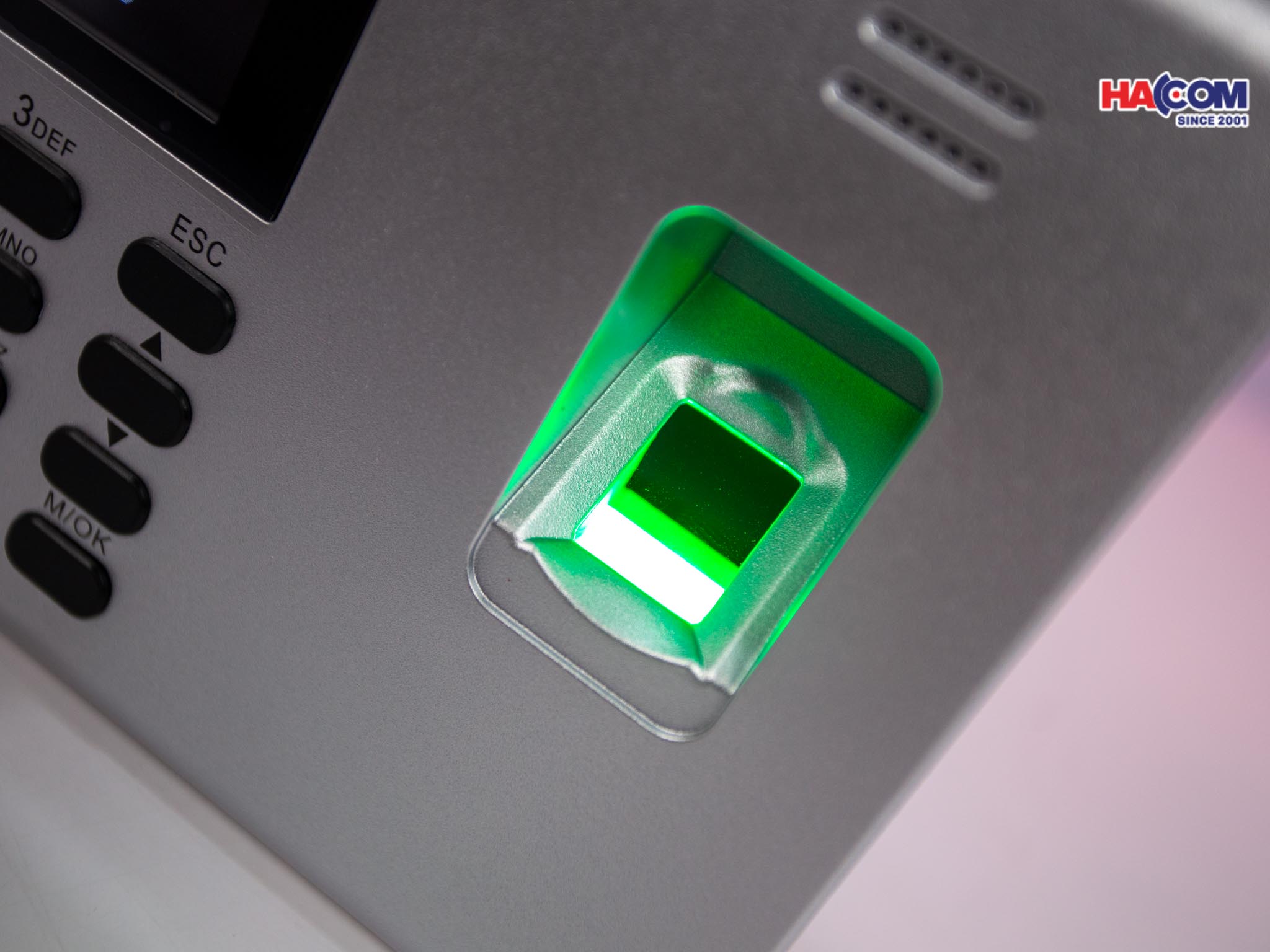 48016_img_9957.jpg 3