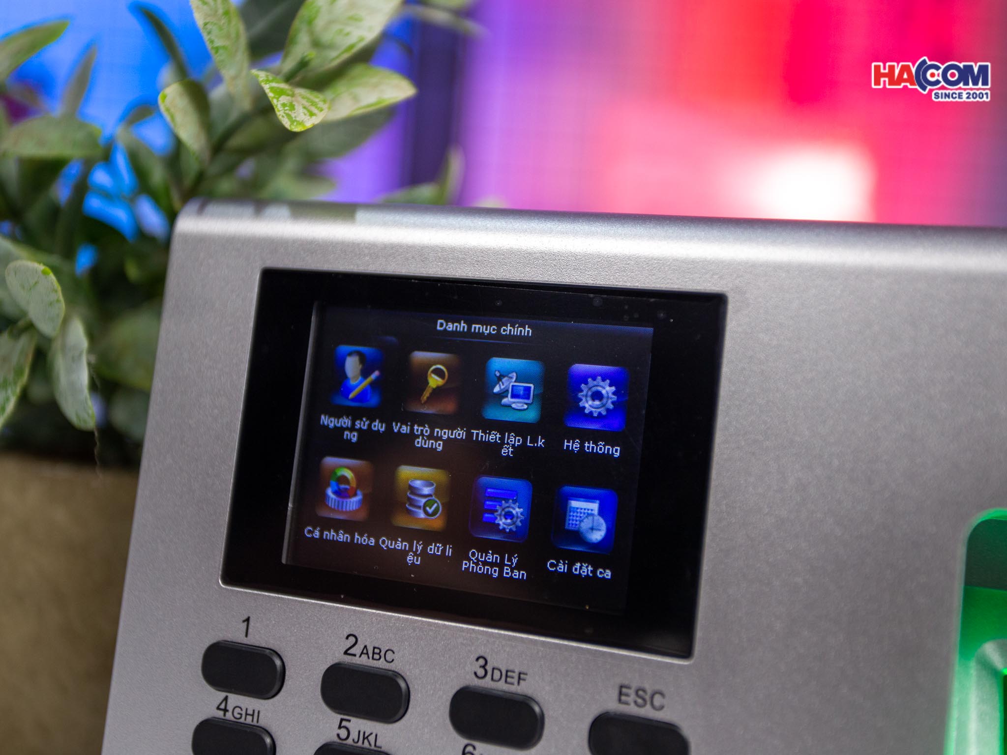 48016_img_9959.jpg 5