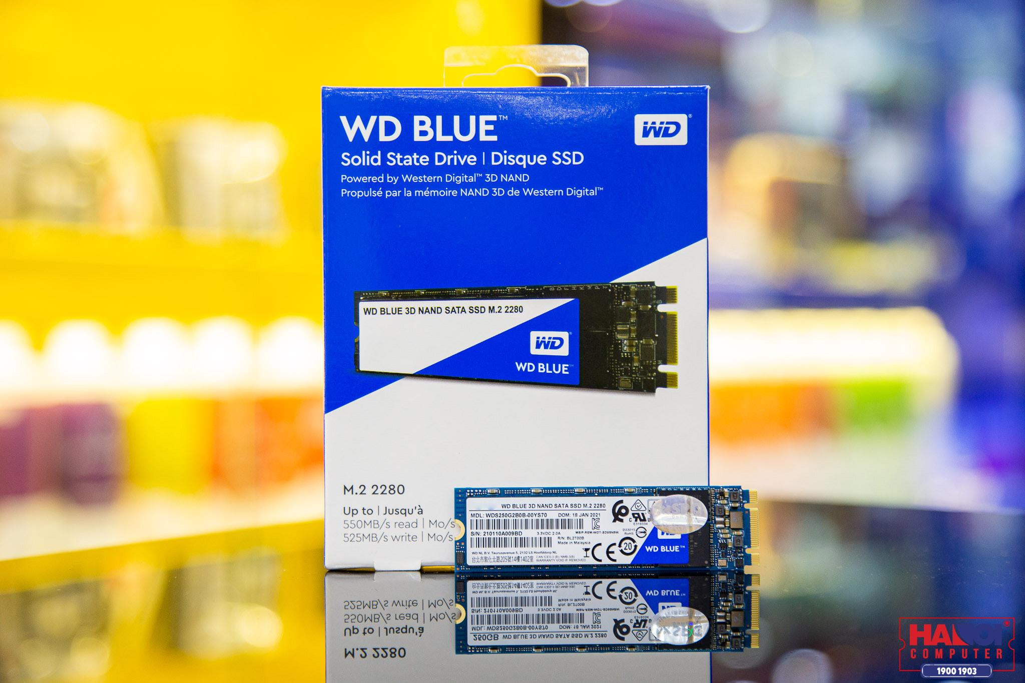 Ổ cứng SSD WD Blue 500GB M.2 SATA III
