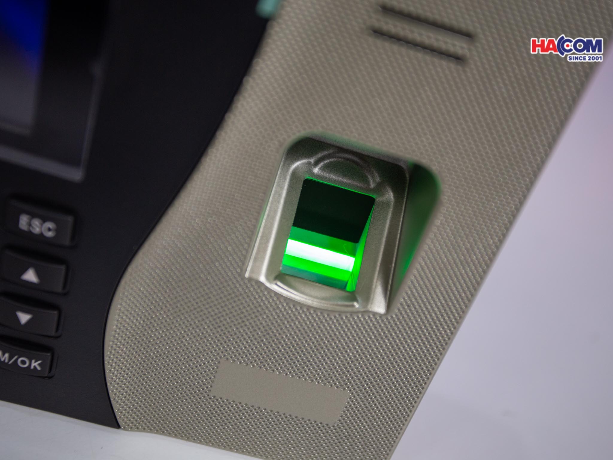 61090_img_9952.jpg 4