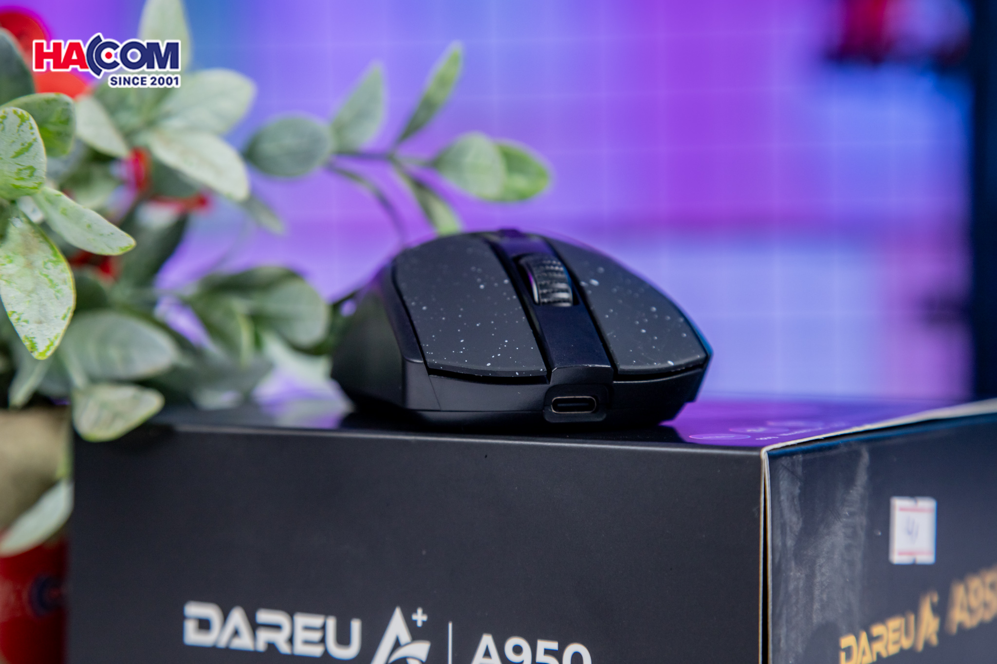 69858_chuot_choi_game_khong_day_dareu_a950_black_08.jpg 13