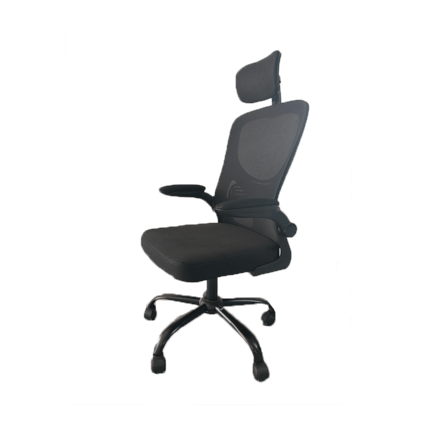 73606_ghe_cong_thai_hoc_legion_yt030_black_mau_den_chan_kim_loai_1.png 4