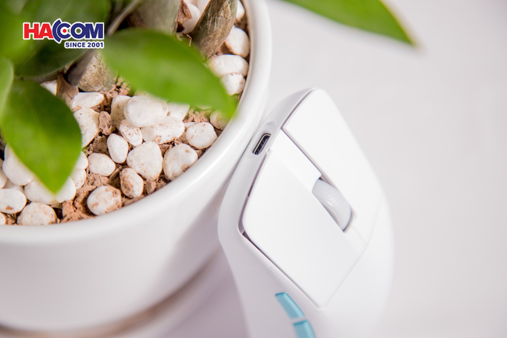 76736_chuot_gaming_khong_day_asus_rog_harpe_ace_aim_lab_edition_moonlight_white___90mp02w0_bmua10_03.JPG 11