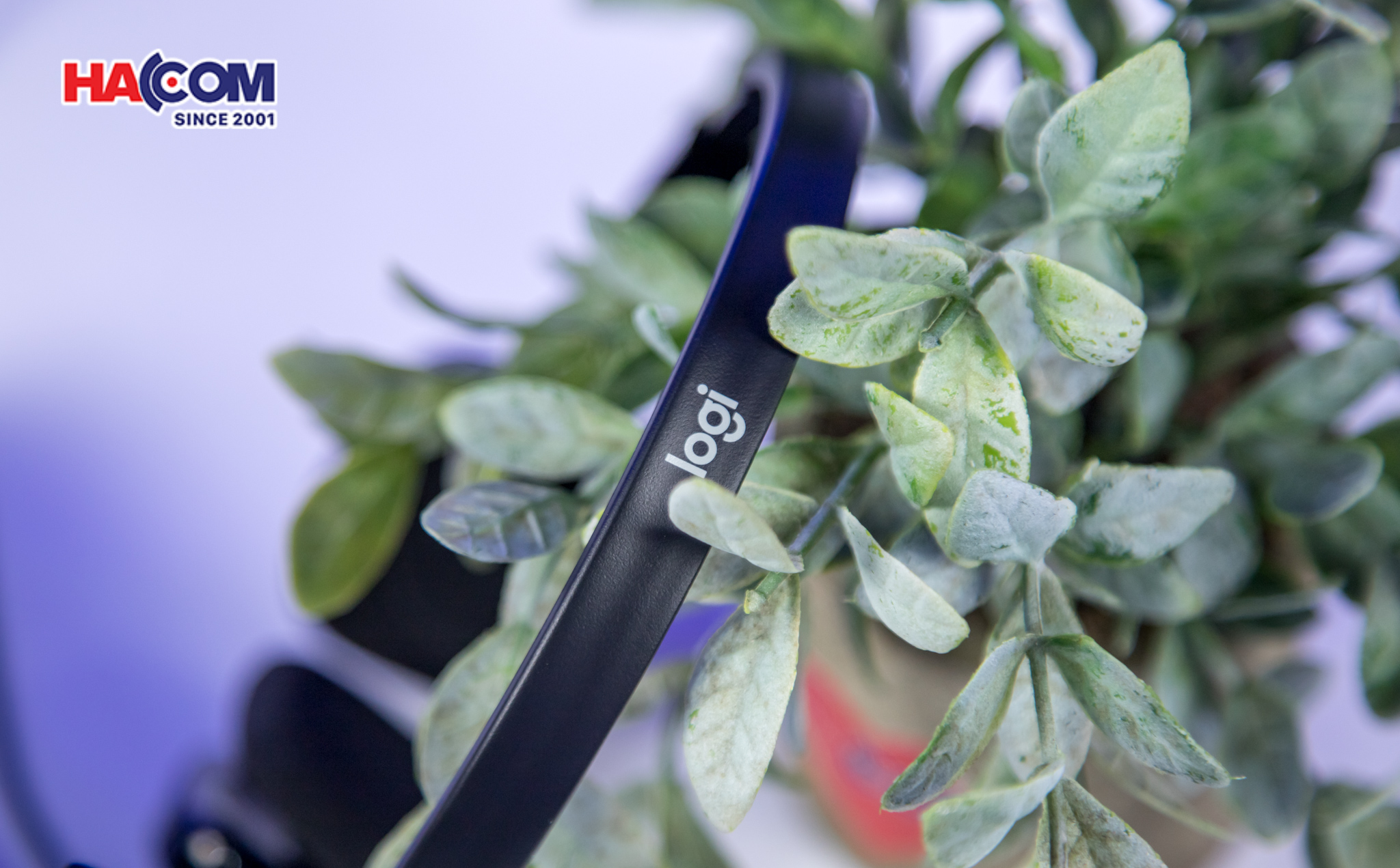 77780_tai_nghe_logitech_h151_06.JPG 8